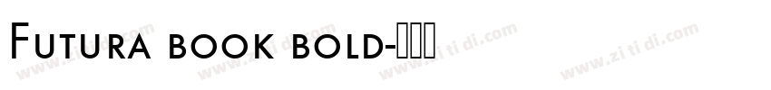 Futura book bold字体转换